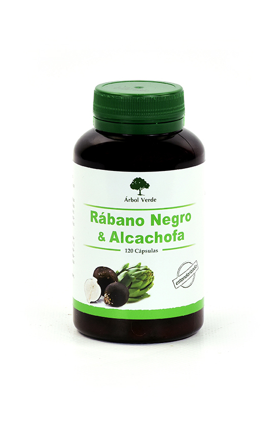 rabano-negro-alcachofa